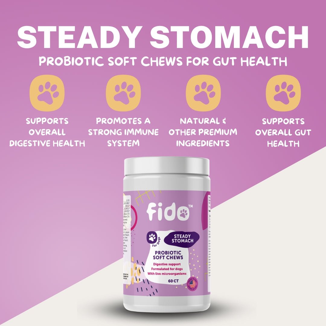 Steady Stomach - Fido